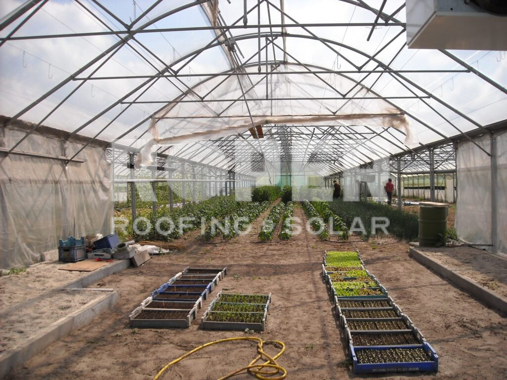 Large greenhouse interior with seedling trays and vegetable crops growing