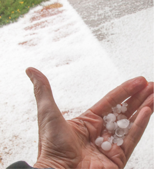 Hand holding small hailstones on wet pavement after severe weather storm