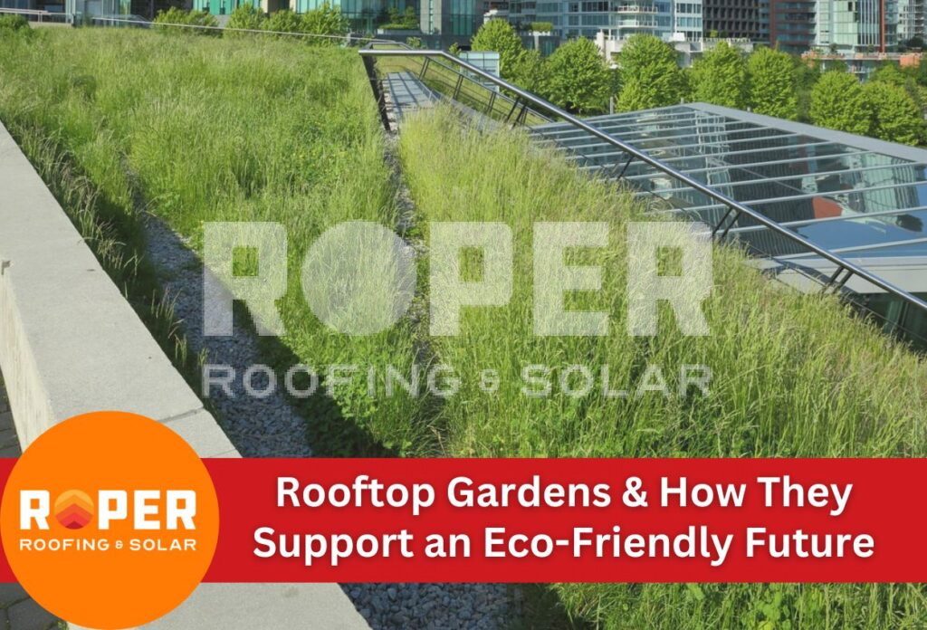 Rooftop Gardens & How They Support an Eco-Friendly Future