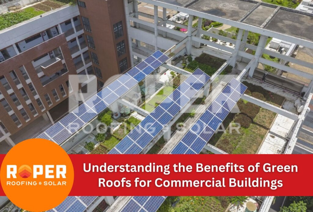 Understanding the Benefits of Green Roofs for Commercial Buildings