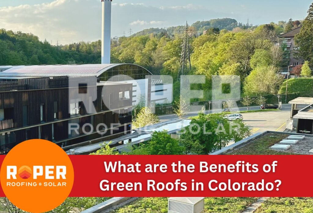 Modern green roof building with solar panels and vegetation in urban landscape