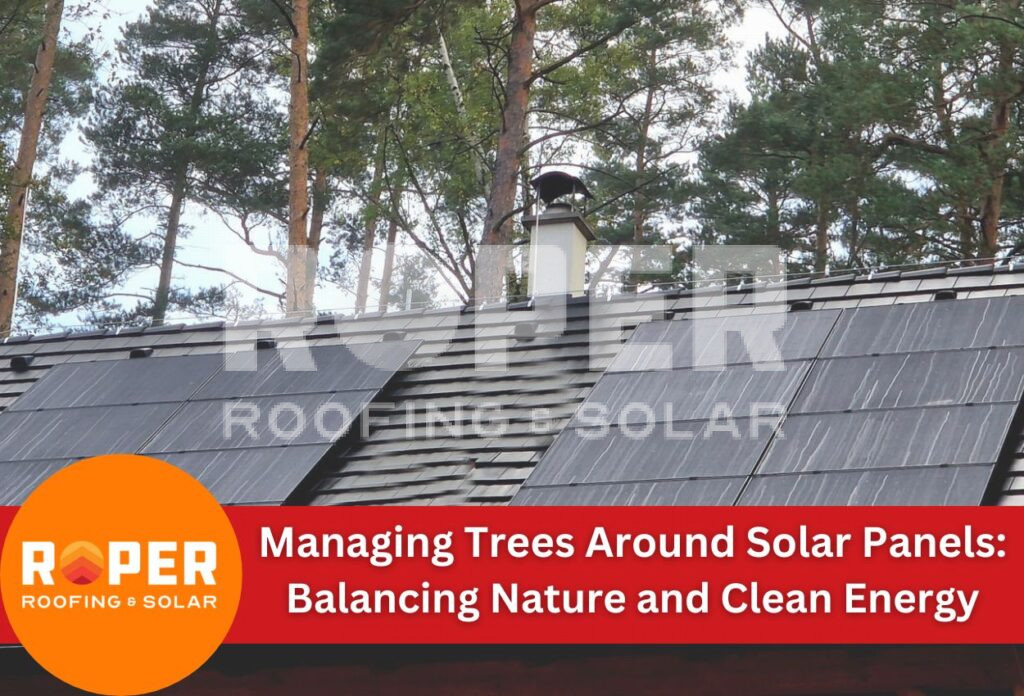 Managing Trees Around Solar Panels