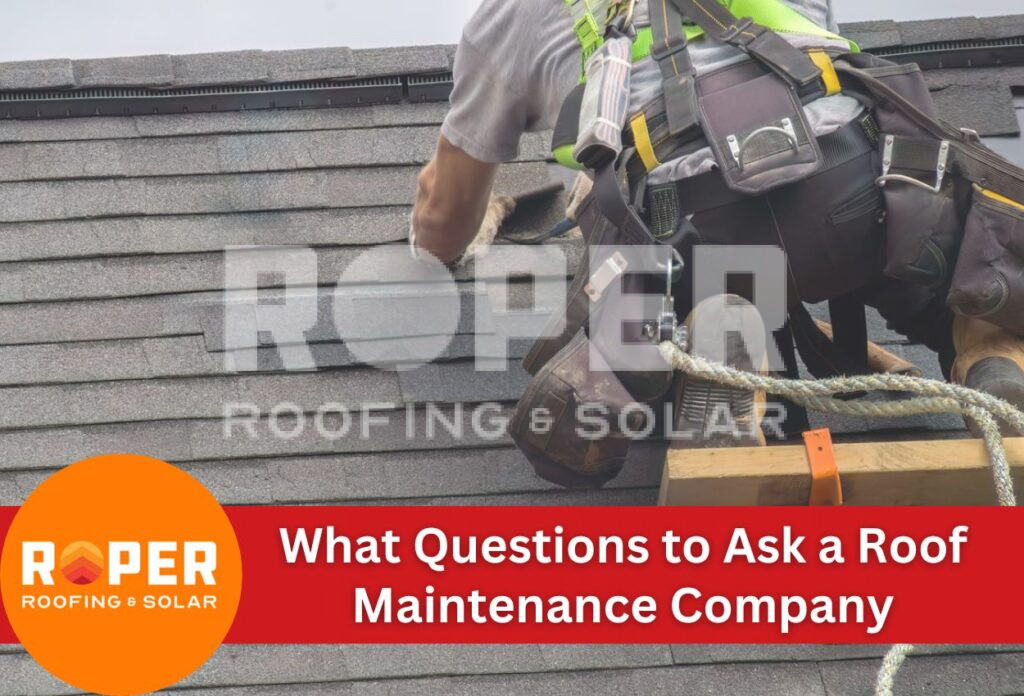 What Questions to Ask a Roof Maintenance Company