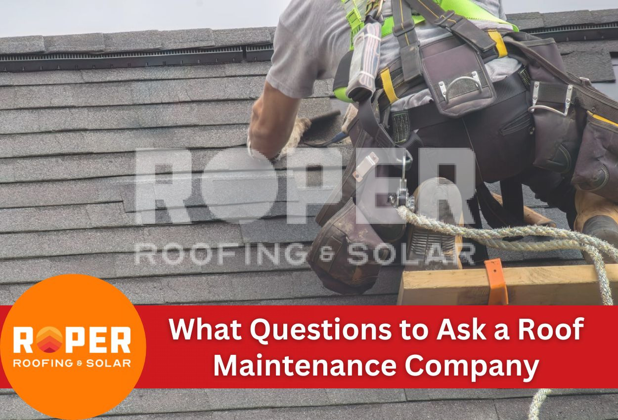 What Questions to Ask a Roof Maintenance Company