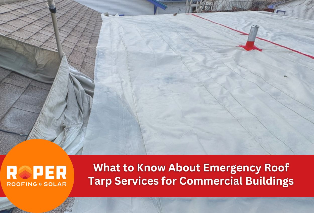 What to Know About Emergency Roof Tarp Services for Commercial Buildings