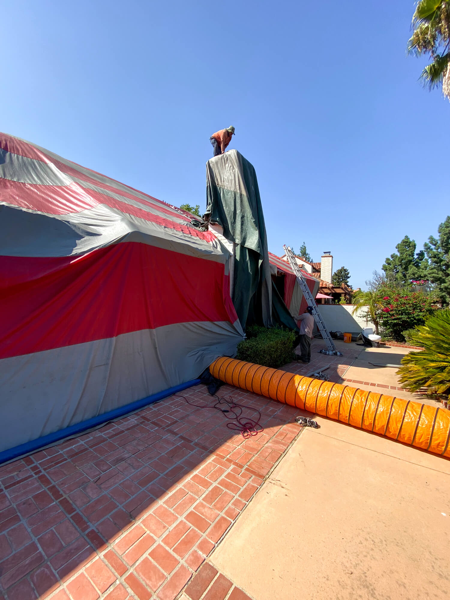 Construction worker pest fumigation tent covering residential house with orange ventilation tube