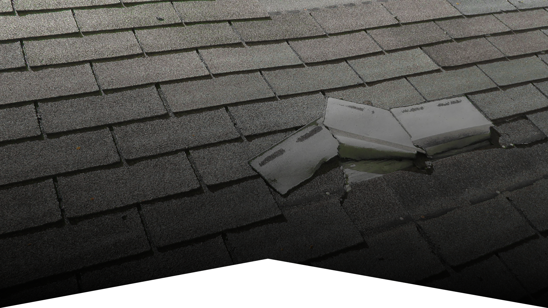 Storm Damage & Insurance