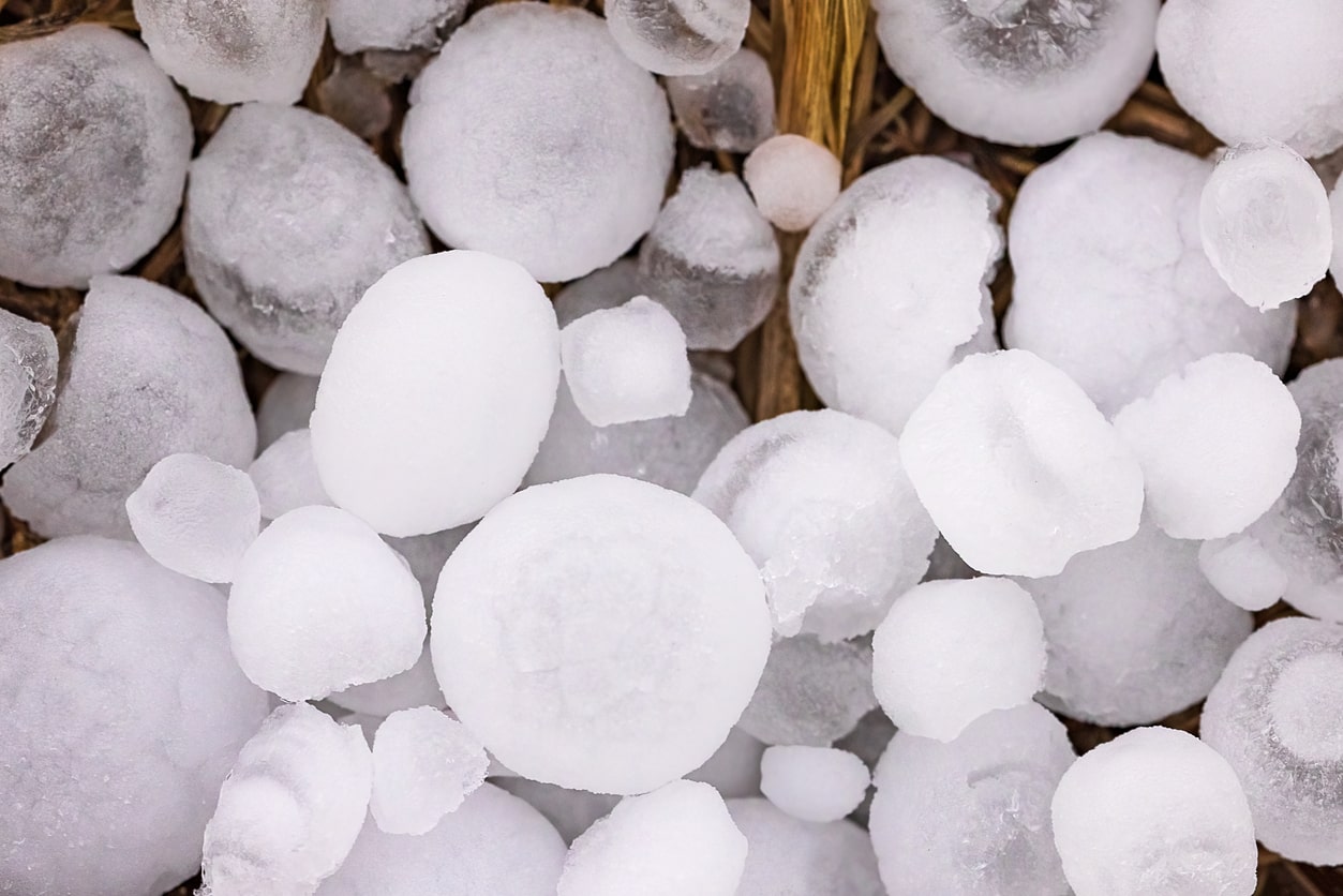 Large white hailstones scattered on wooden surface after severe weather storm
